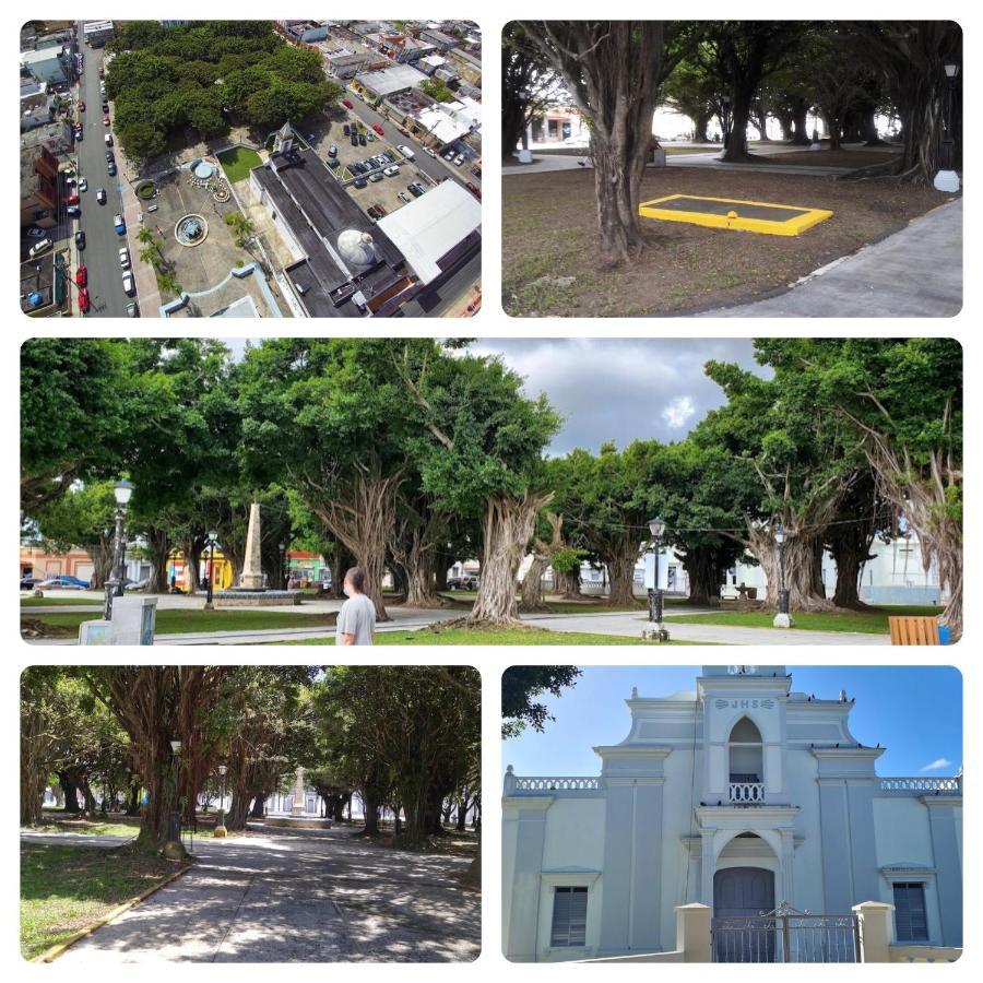 Lacasitadelmalecon Naguabo Dış mekan fotoğraf