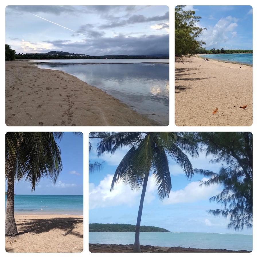 Lacasitadelmalecon Naguabo Dış mekan fotoğraf