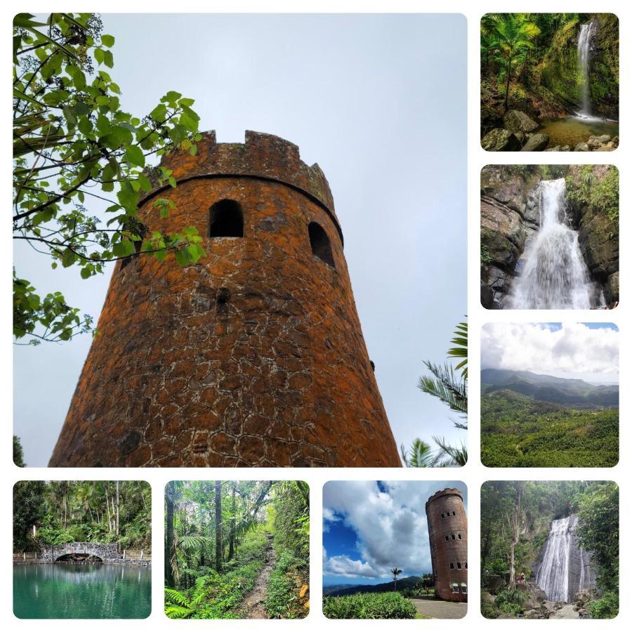 Lacasitadelmalecon Naguabo Dış mekan fotoğraf